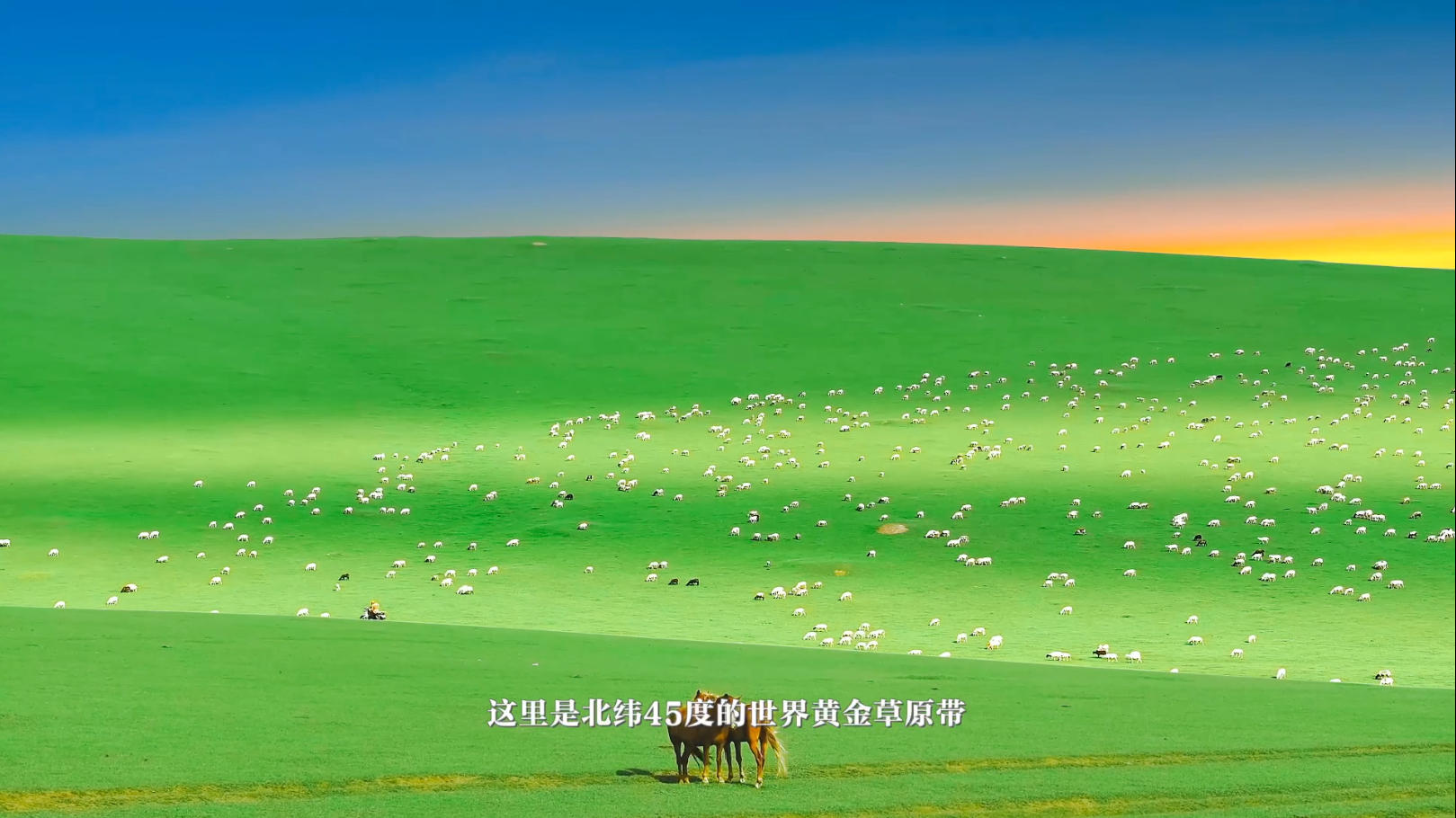 聚龙·喜春山宣传视频