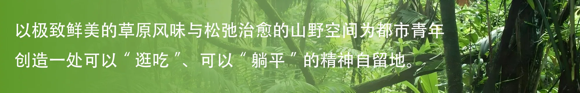 品牌使命