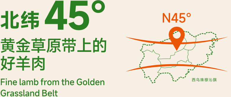 关于聚龙·喜春山